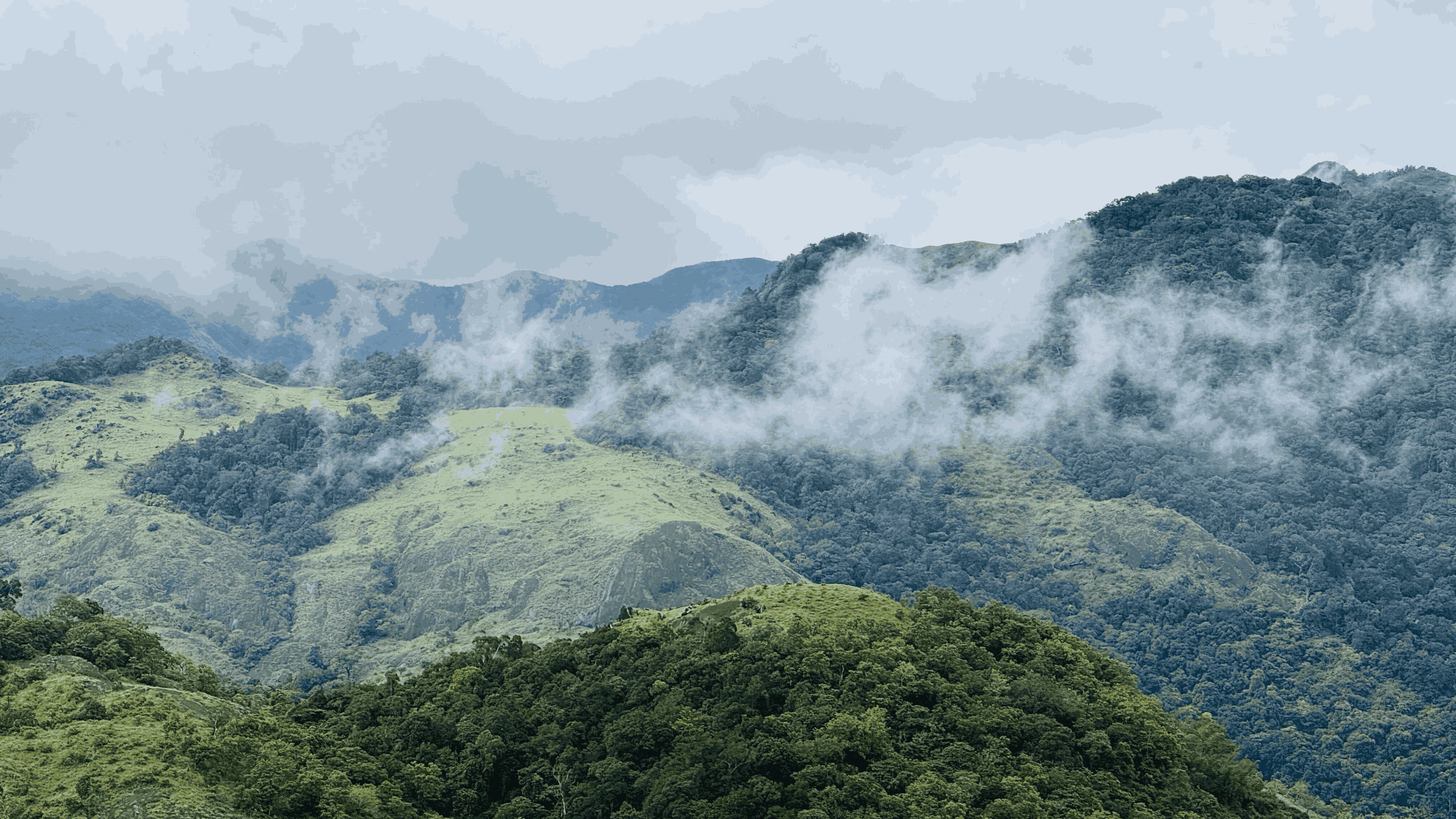 Misty forested hills of Kakkadampoyil, Kerala