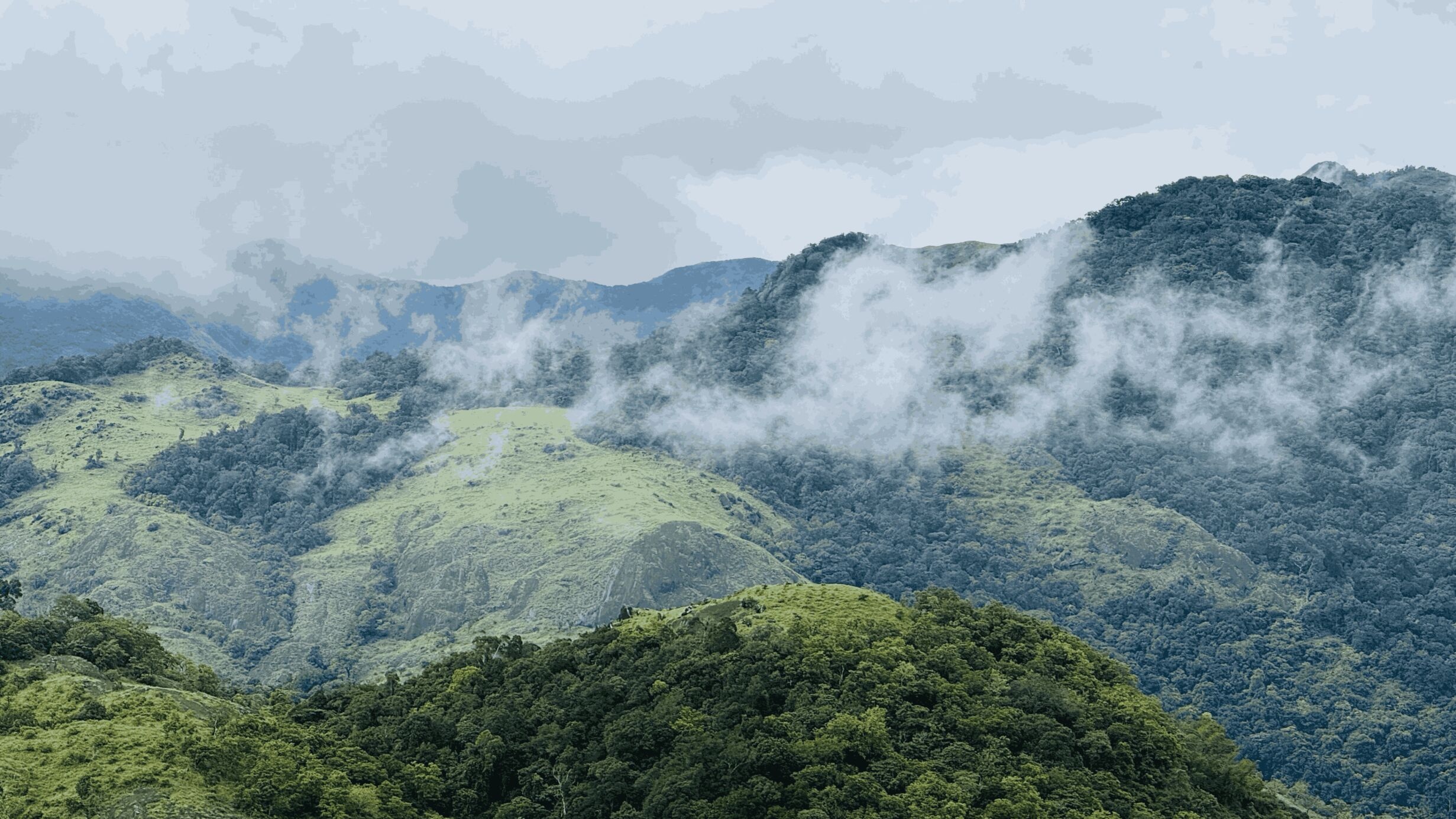 Misty forested hills of Kakkadampoyil, Kerala
